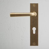 Apsley Long Plate Sprung Door Handle & Euro Lock Antique Brass Finish on White Background right Facing Front View