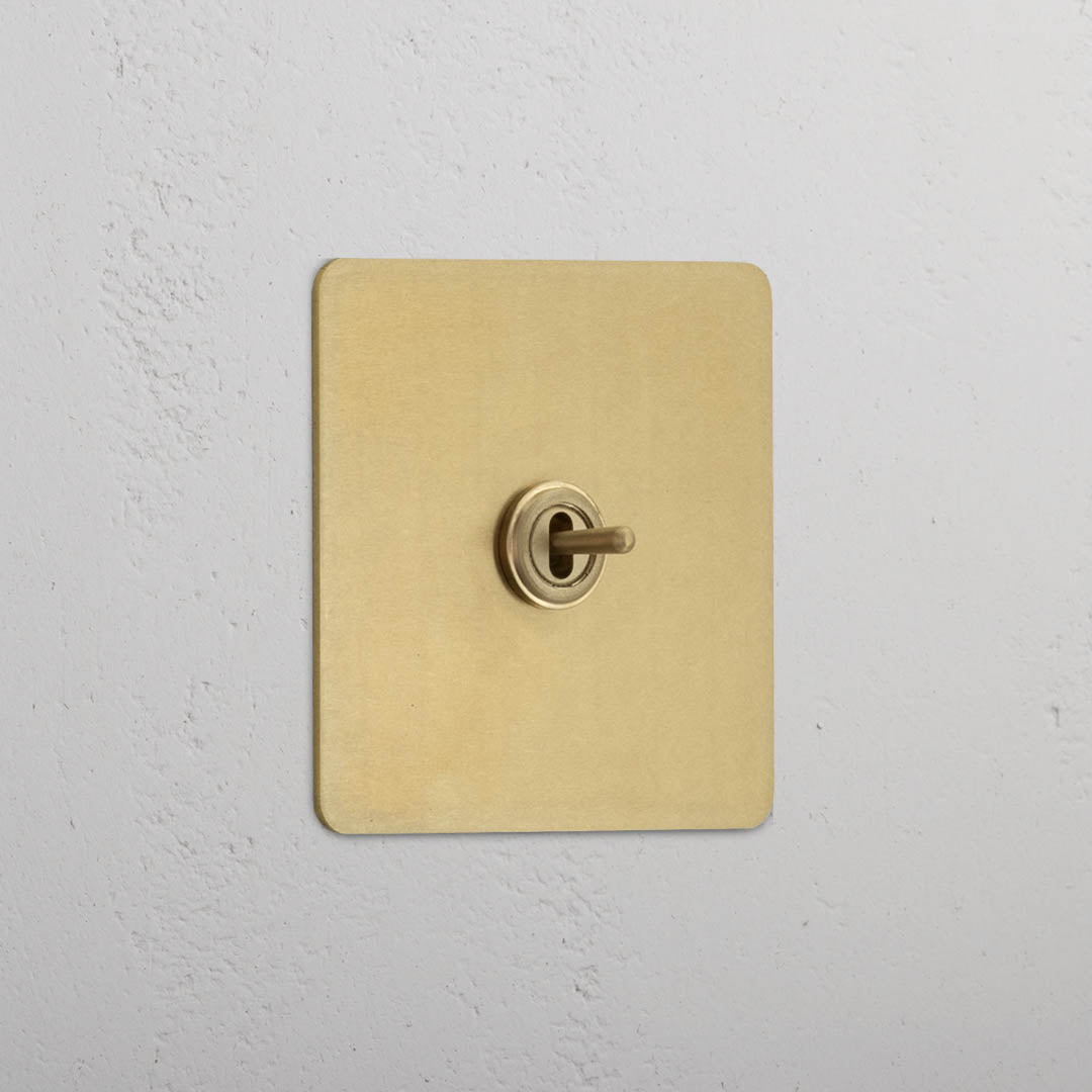 Central Single Toggle Switch in Antique Brass