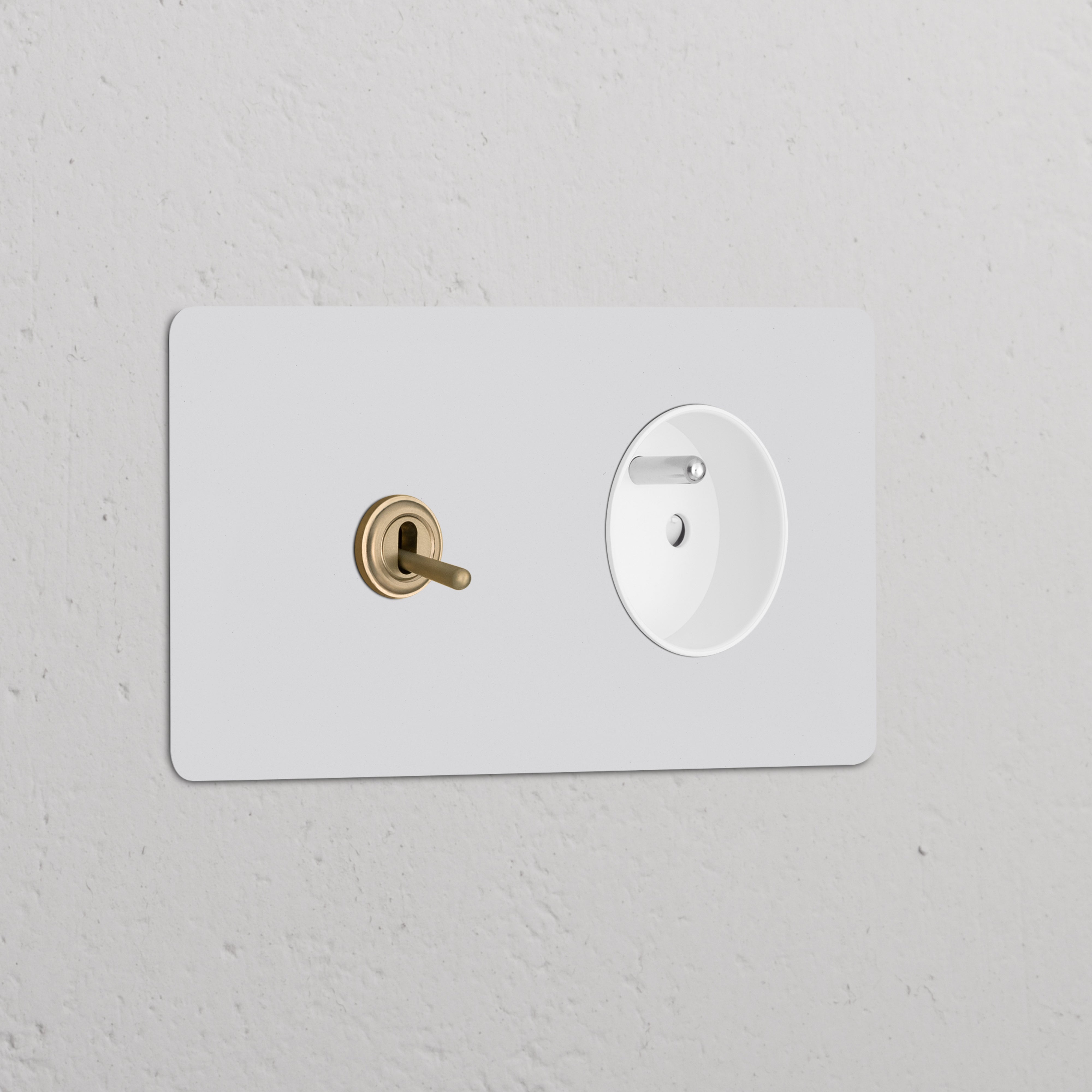 Double toggle switch and French Type E module in paintable antique brass white for double sockets & modules.