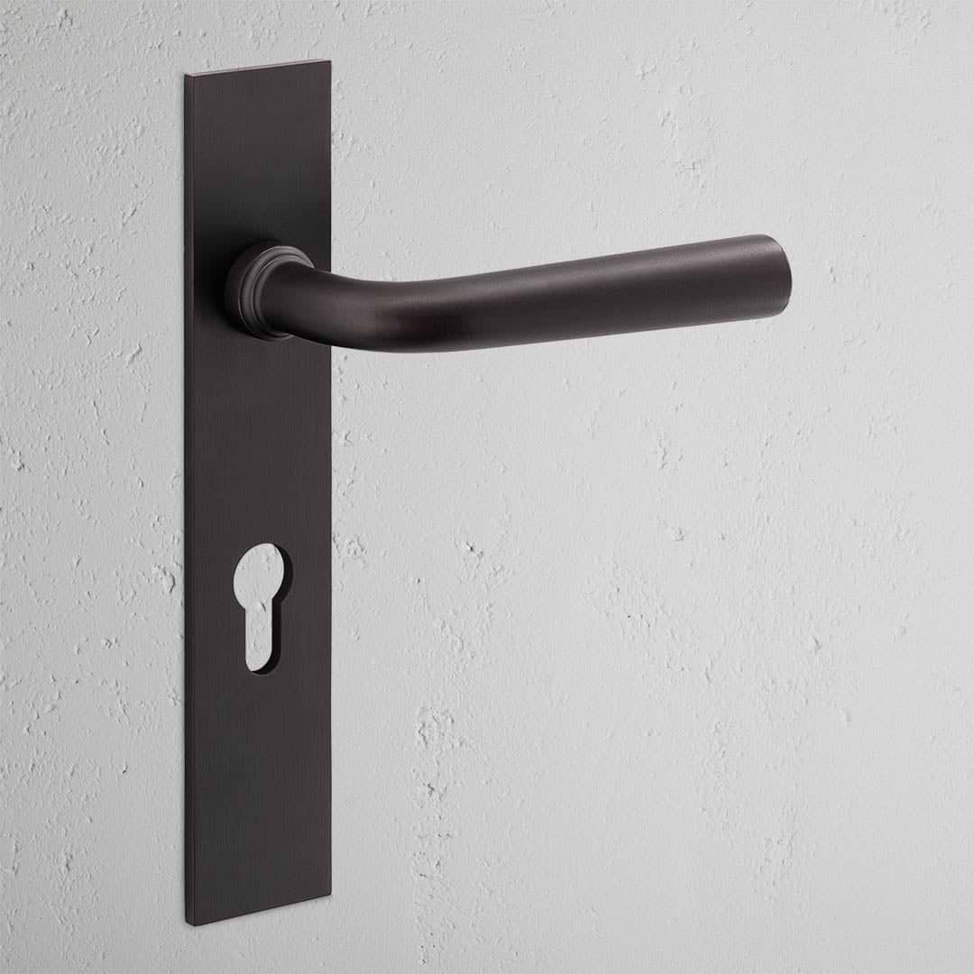 Apsley Long Plate Sprung Door Handle & Euro Lock Bronze Finish on White Background