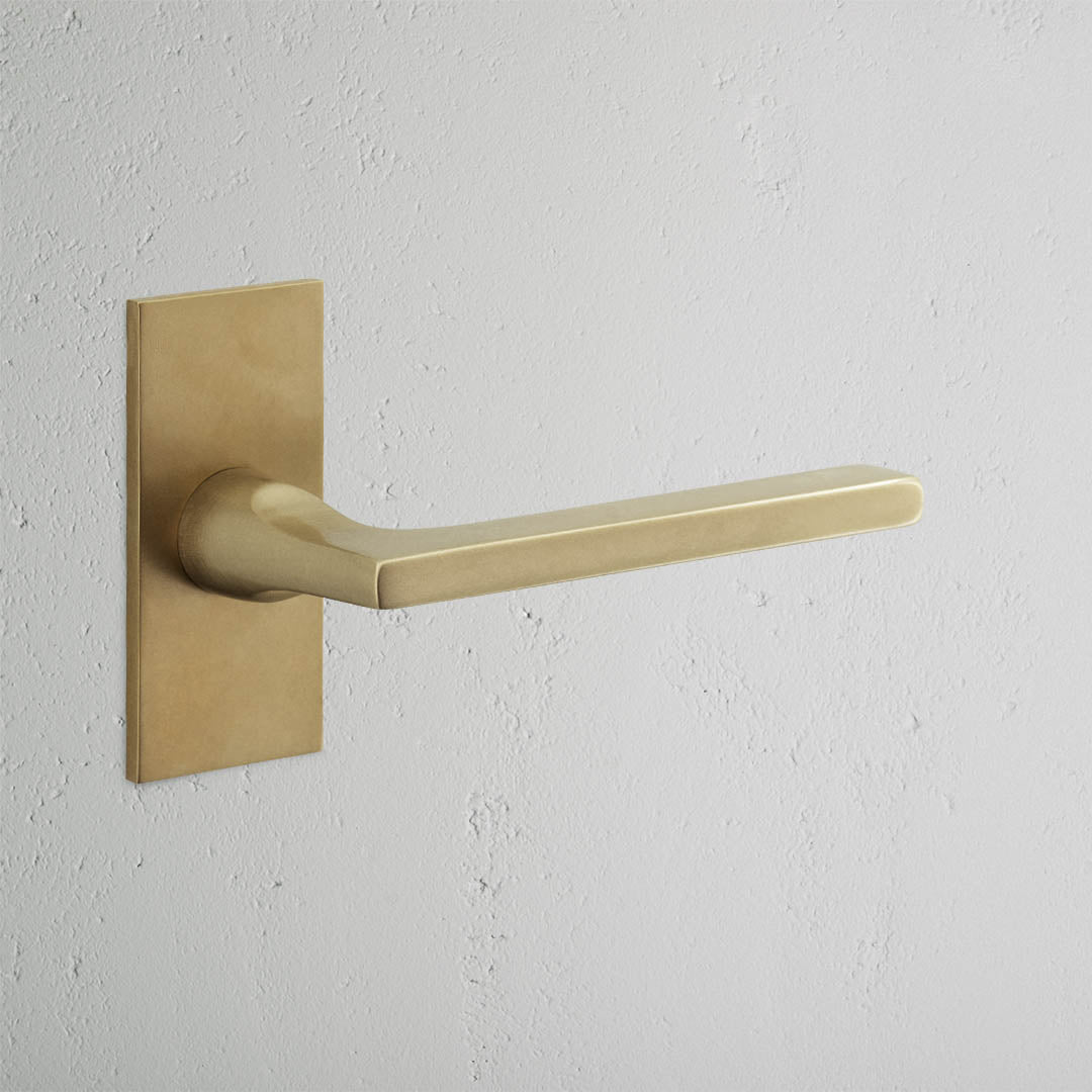 Clayton Short Plate Sprung Door Handle - Antique Brass