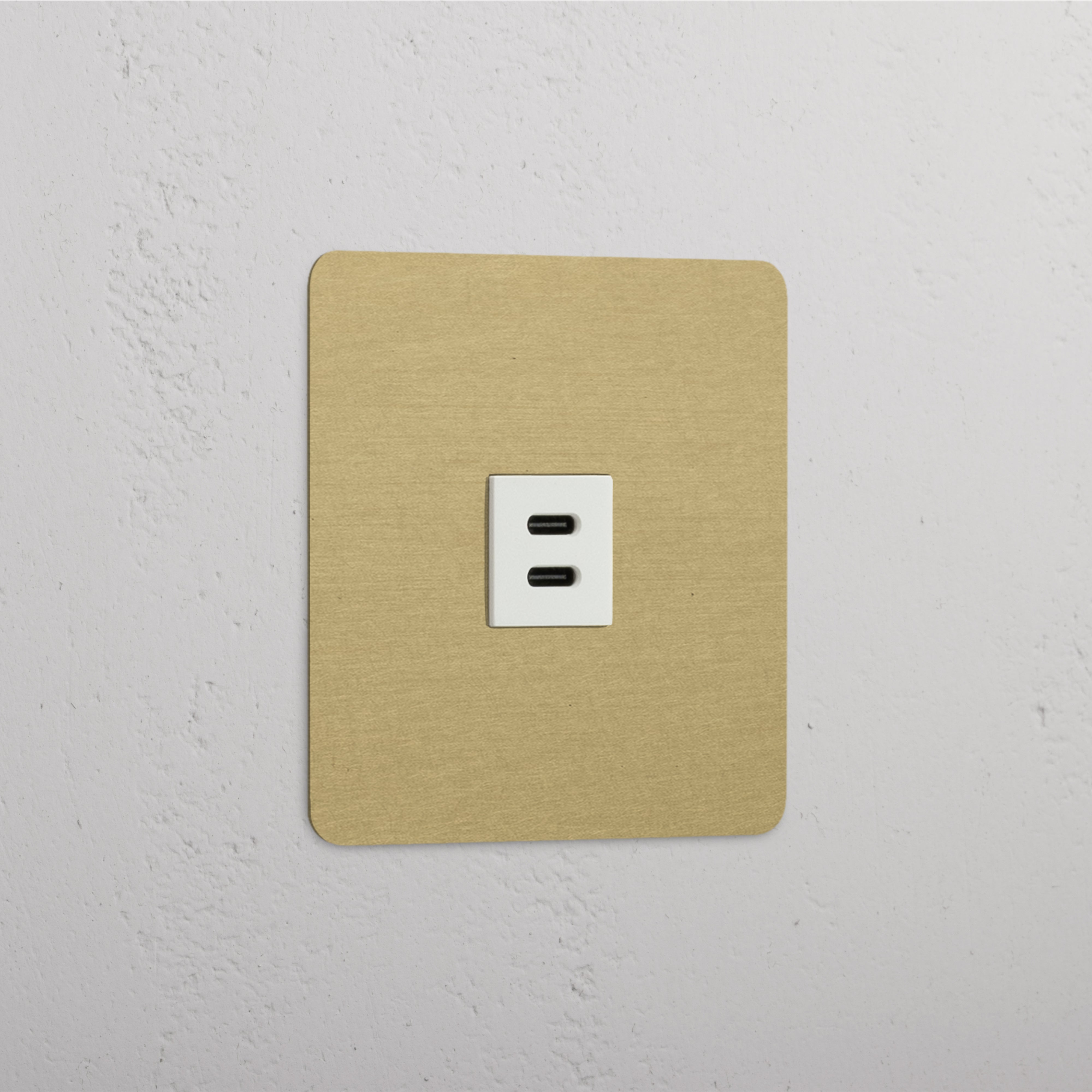 Antique Brass White Single USB 30W Module - High Speed Charging