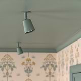 Paintable Pembroke Spotlight 50mm ceiling mounted painted same colour as the pastel green ceiling. 