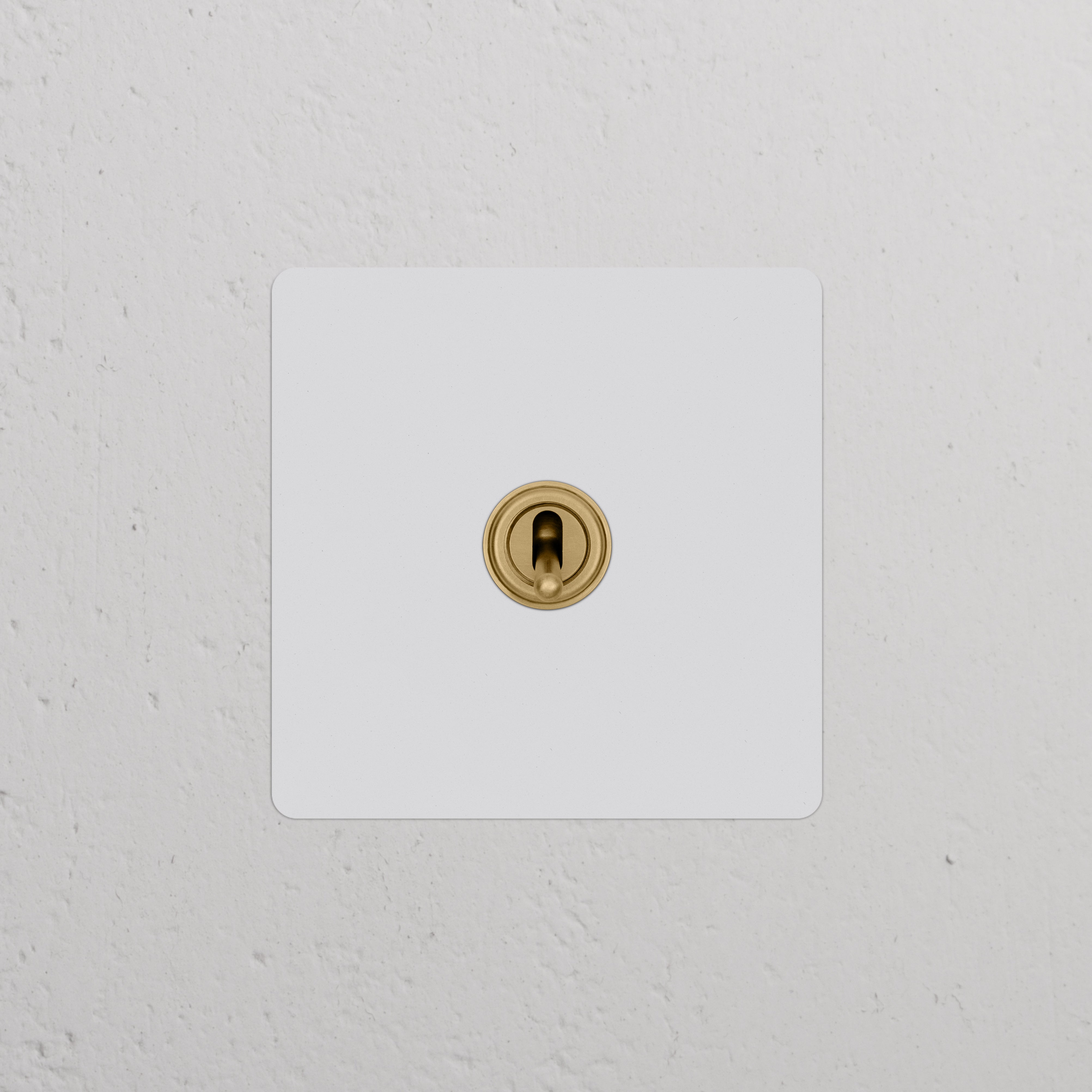 Single Toggle Switch in Paintable Antique Brass on a white wall; ideal for classic charm in switches & dimmers.