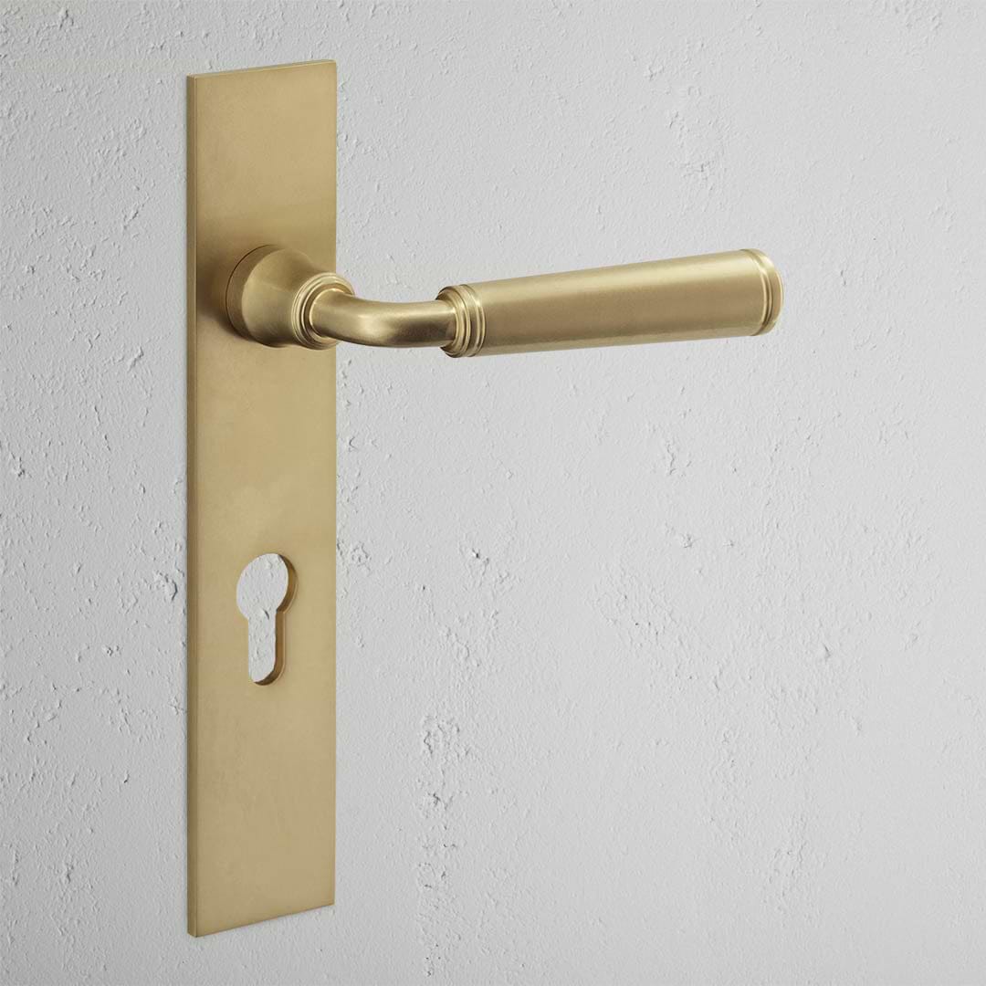 Digby Long Plate Sprung Door Handle & Euro Lock Antique Brass Finish on White Background