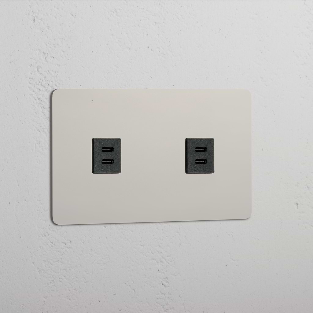 Double USB Power Module in Polished Nickel Black - Dual USB Charging Accessory
