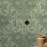 Double Toggle & Schuko Module Round - Clear Antique Brass Black 