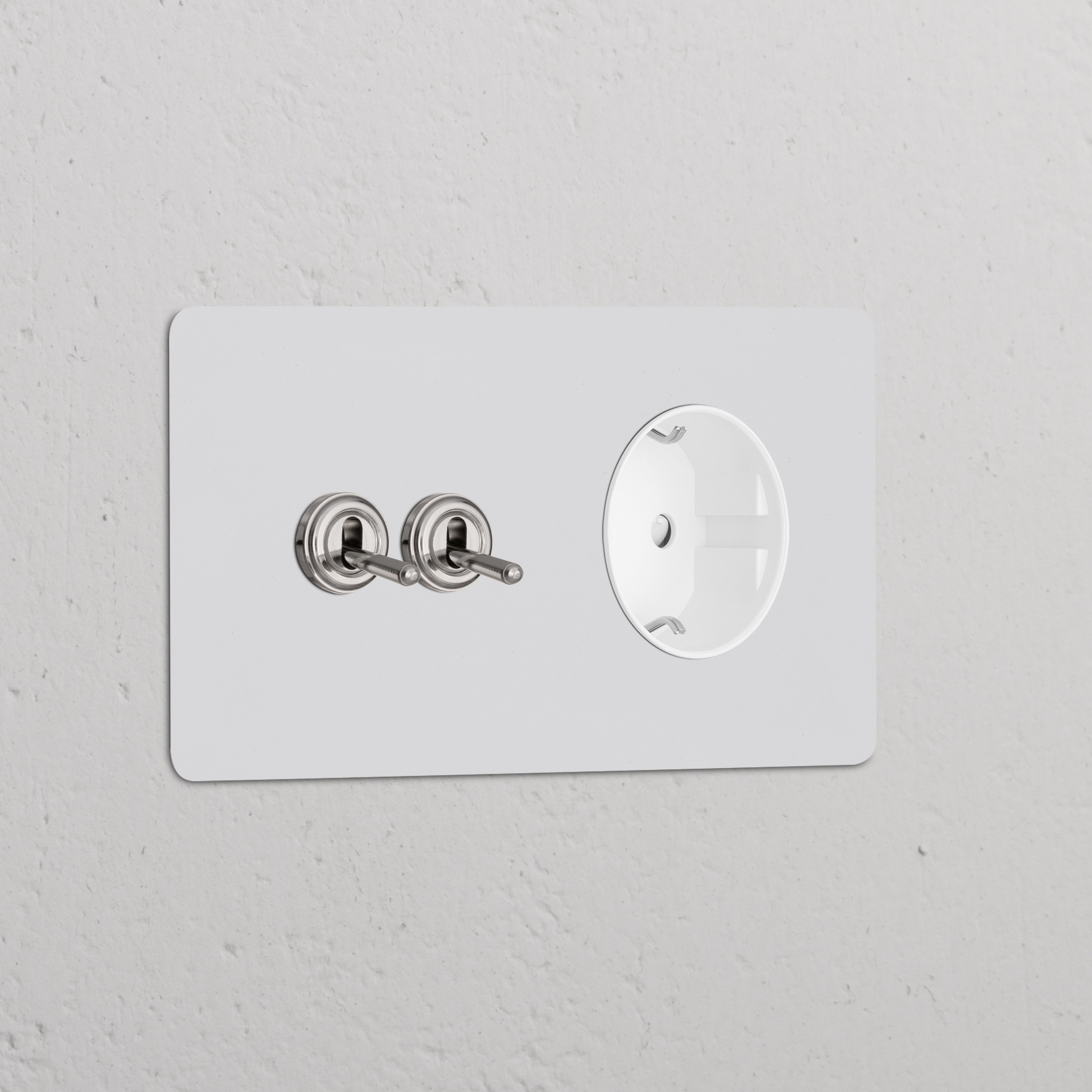 Double toggle switch and Schuko Type F power module in polished nickel white on a Double Sockets & Modules plate.