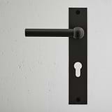 Harper Long Plate Sprung Door Handle & Euro Lock Bronze Finish on White Background right Facing Front View