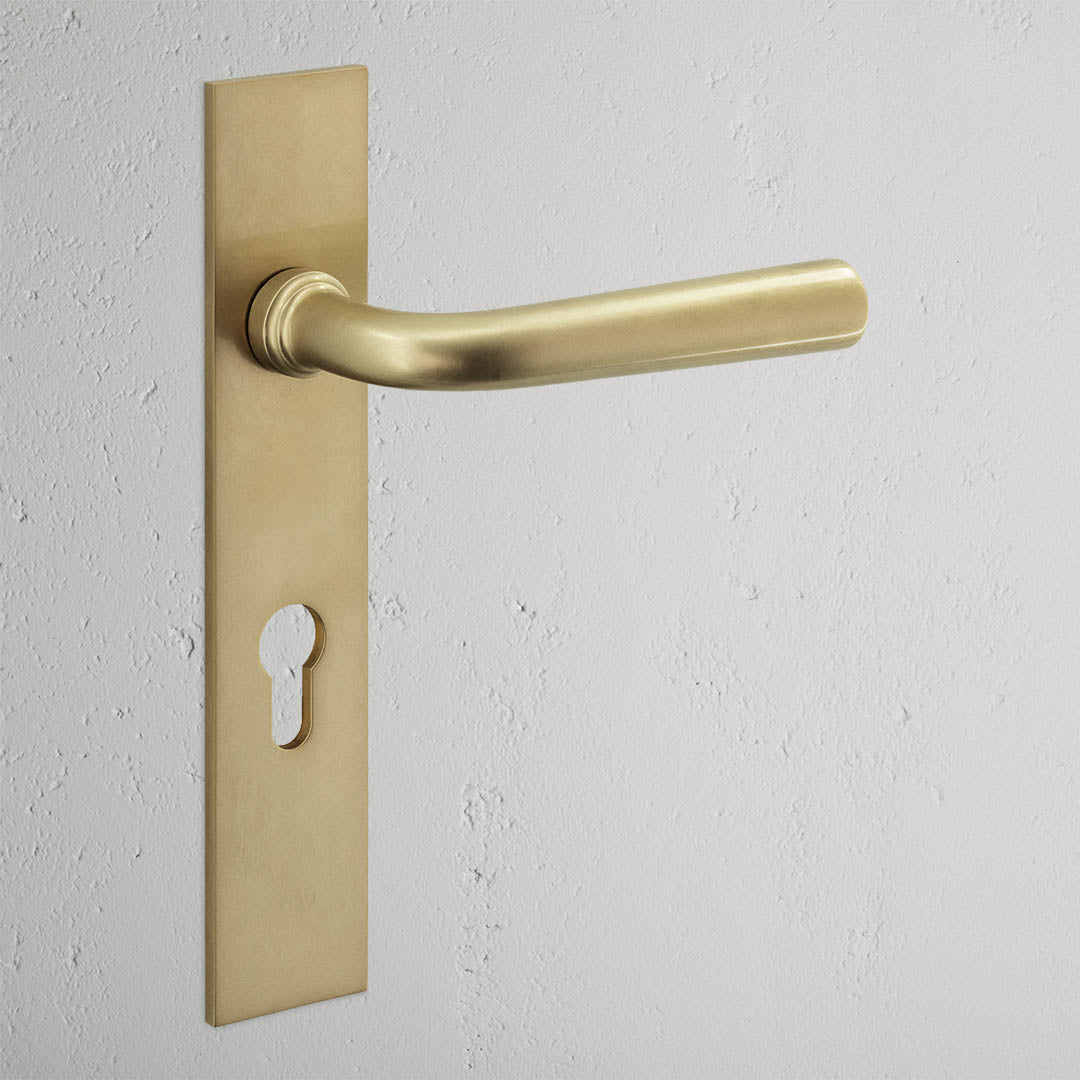 Apsley Long Plate Sprung Door Handle & Euro Lock - Antique Brass