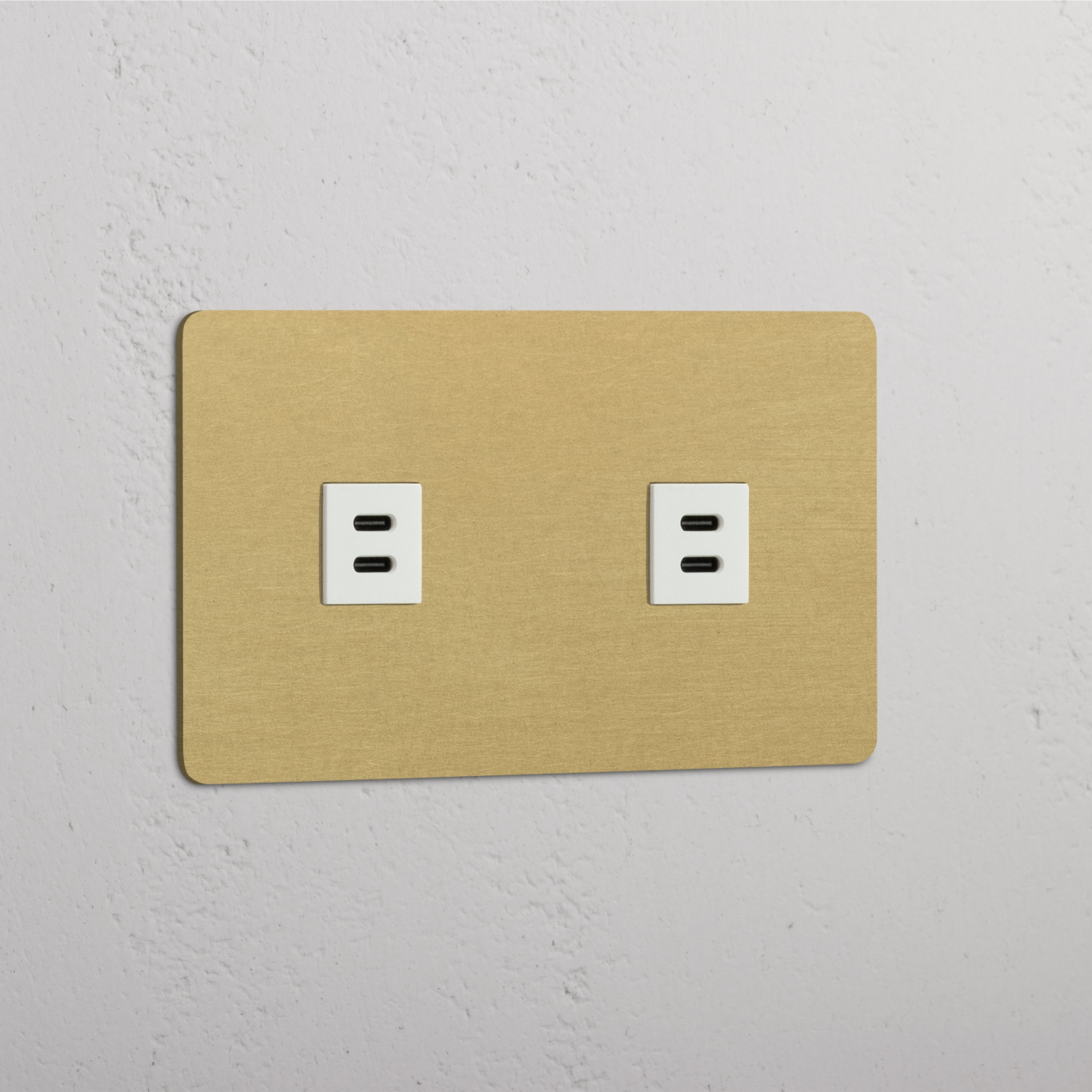 Double USB Module in Antique Brass White with Dual Ports - Advanced Connectivity
