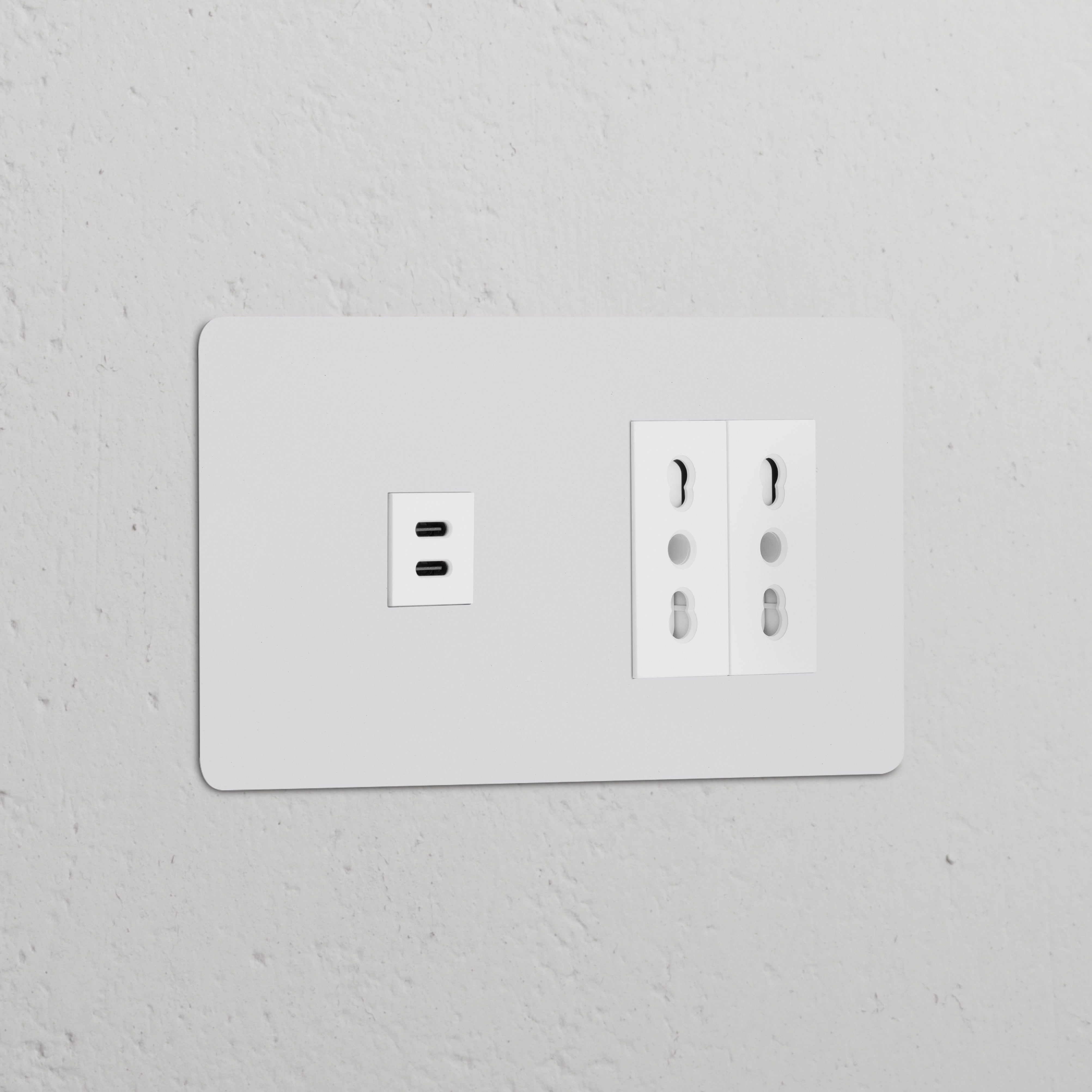 Paintable white Double USB 30W & 2x Bipasso Power Module, featuring USB-C and standard sockets.