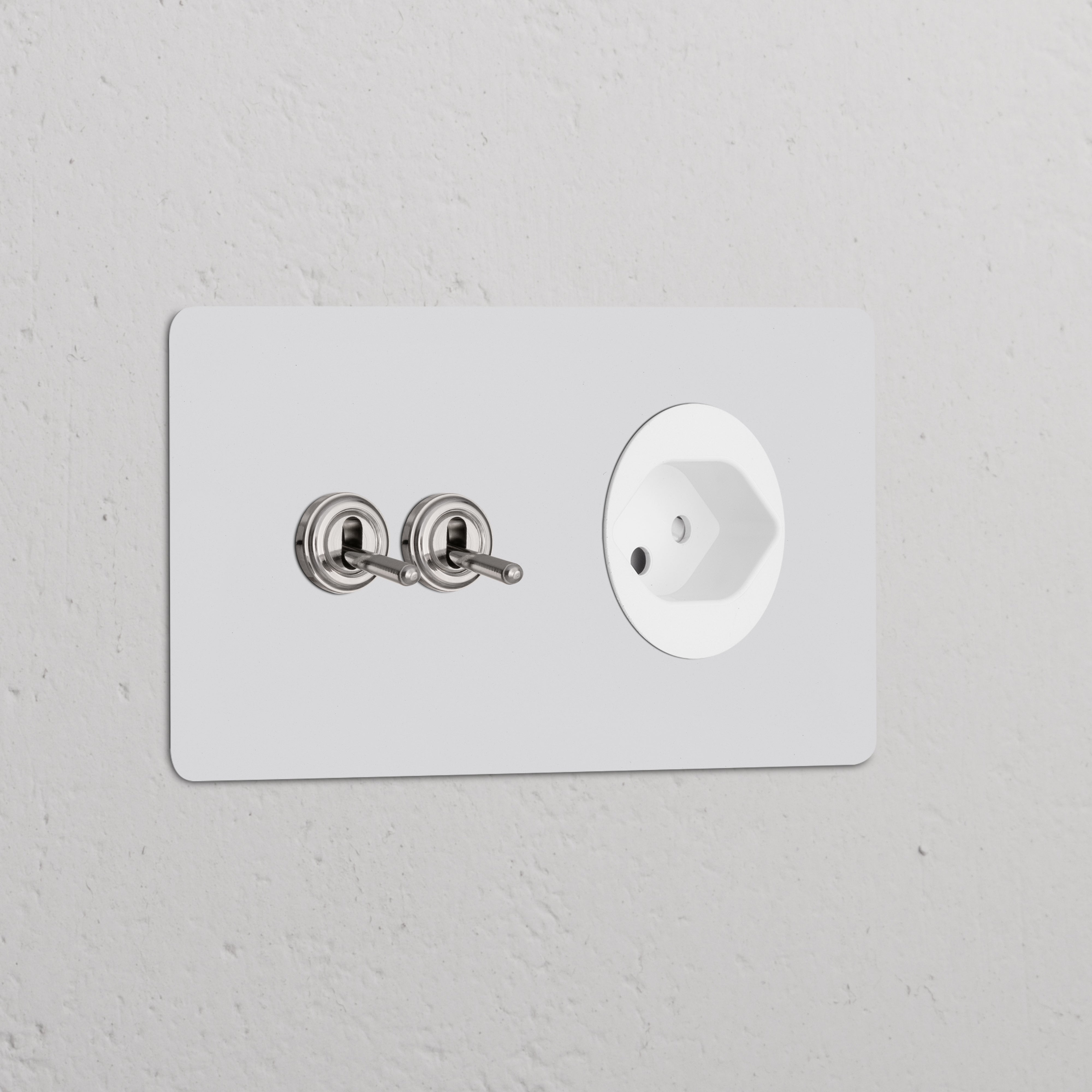 Double 2x toggle switch and Swiss Type J power module in paintable polished nickel for wall, double sockets & modules.