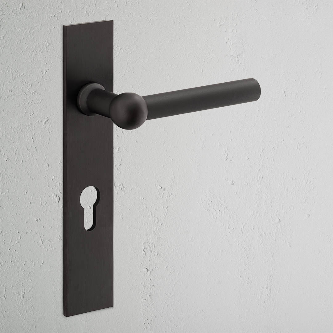 Harper Long Plate Sprung Door Handle & Euro Lock - Bronze