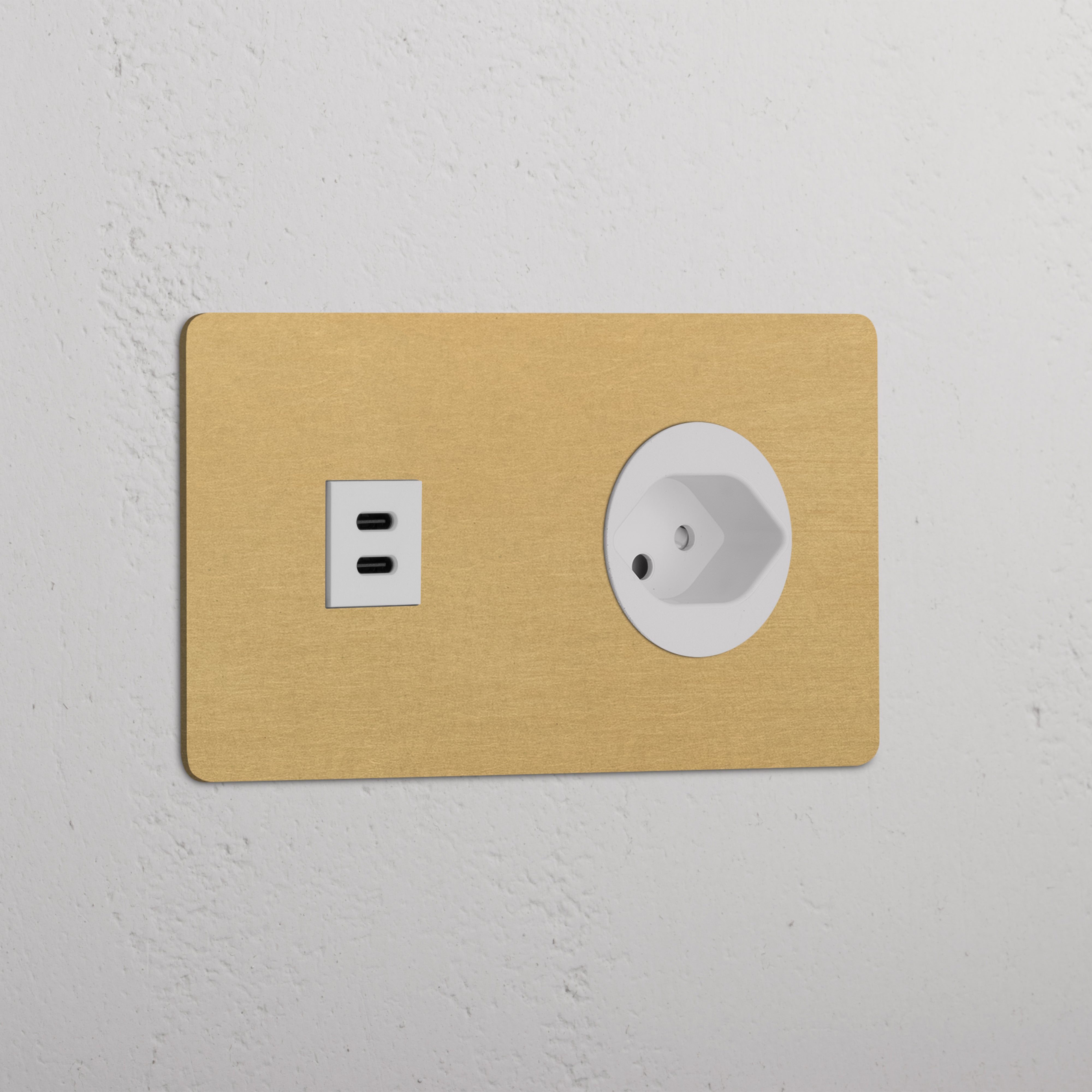 Double USB 30W & Swiss Module in Antique Brass White