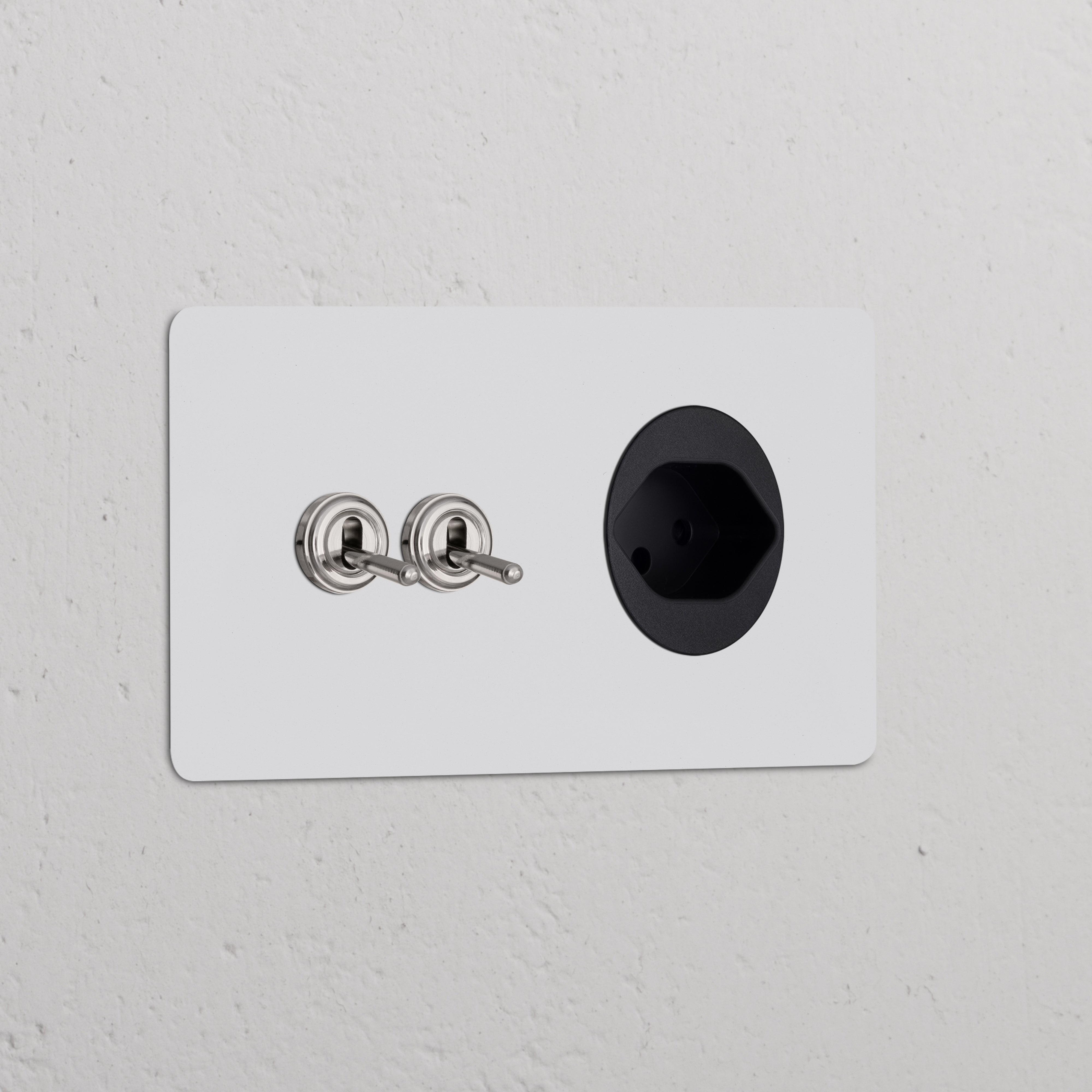 Double 2x toggle switch and Swiss Type J module in polished nickel, black round socket on paintable wall panel.