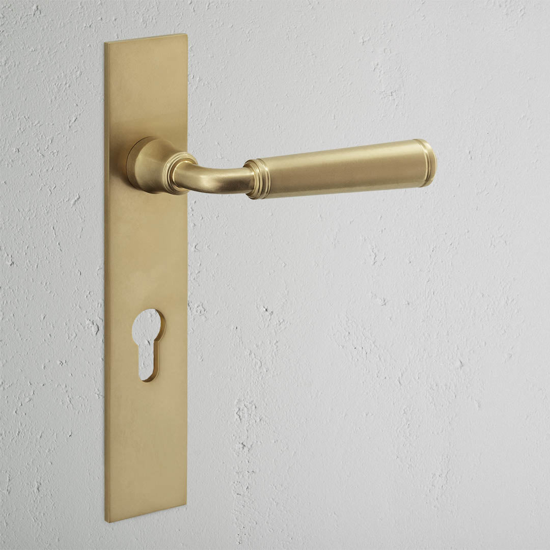 Digby Long Plate Sprung Door Handle & Euro Lock - Antique Brass