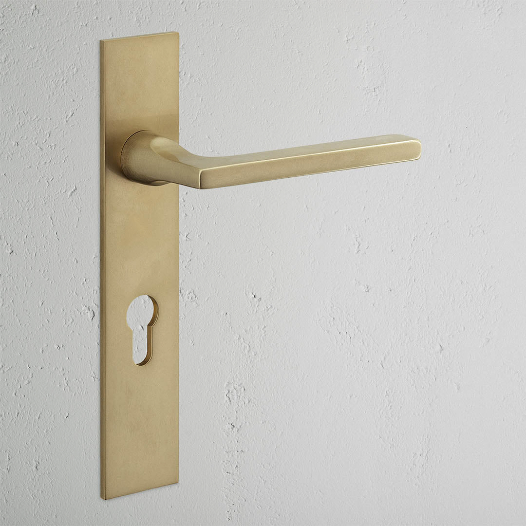 Clayton Long Plate Sprung Door Handle & Euro Lock - Antique Brass