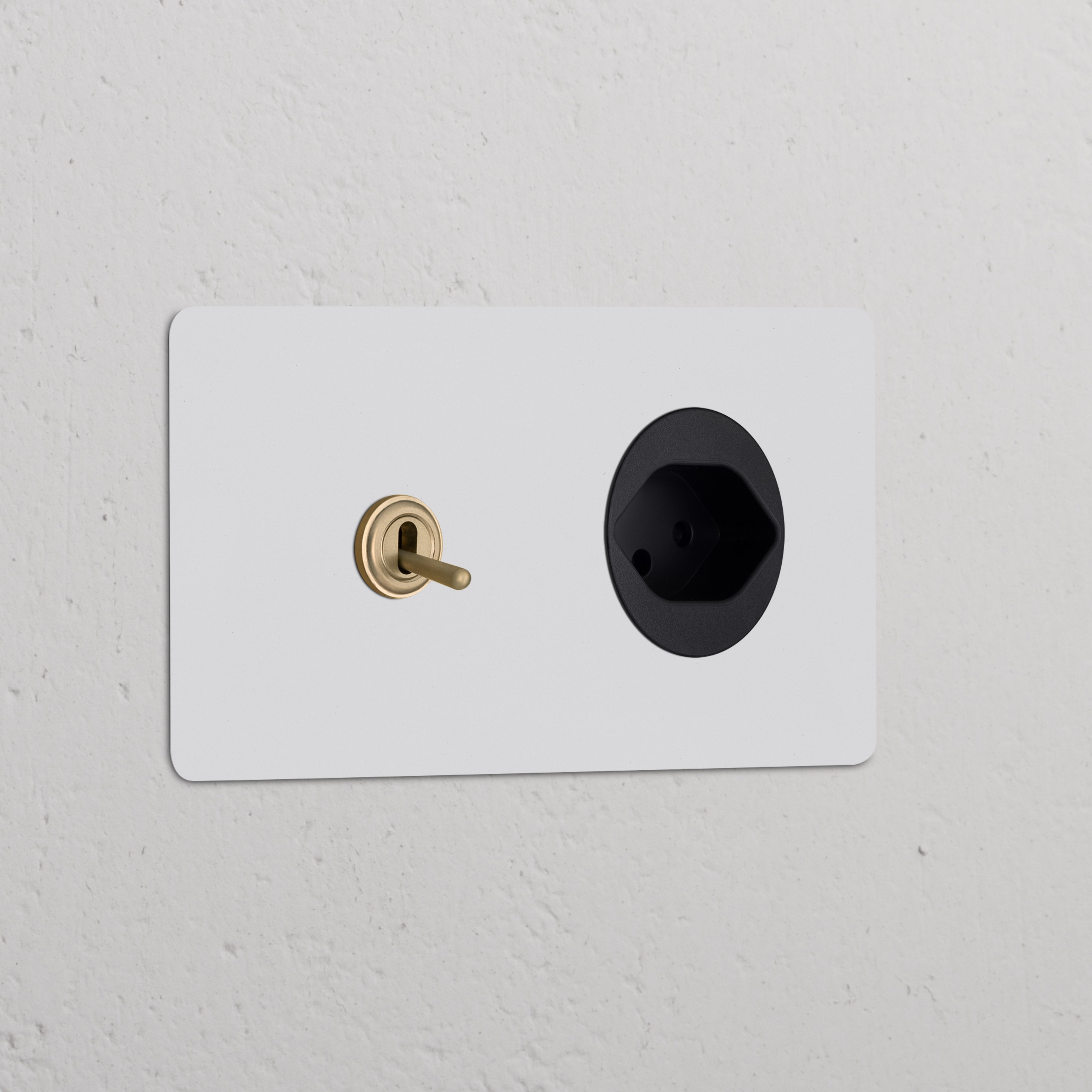 Paintable antique brass black double toggle switch and Swiss Type J power module on a textured white wall.