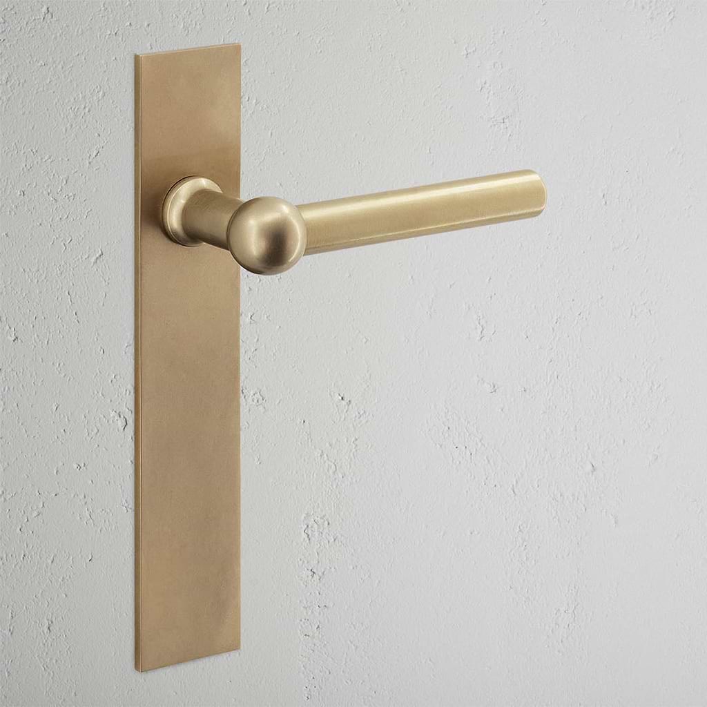 Harper Long Plate Fixed Door Handle Antique Brass Finish on White Background