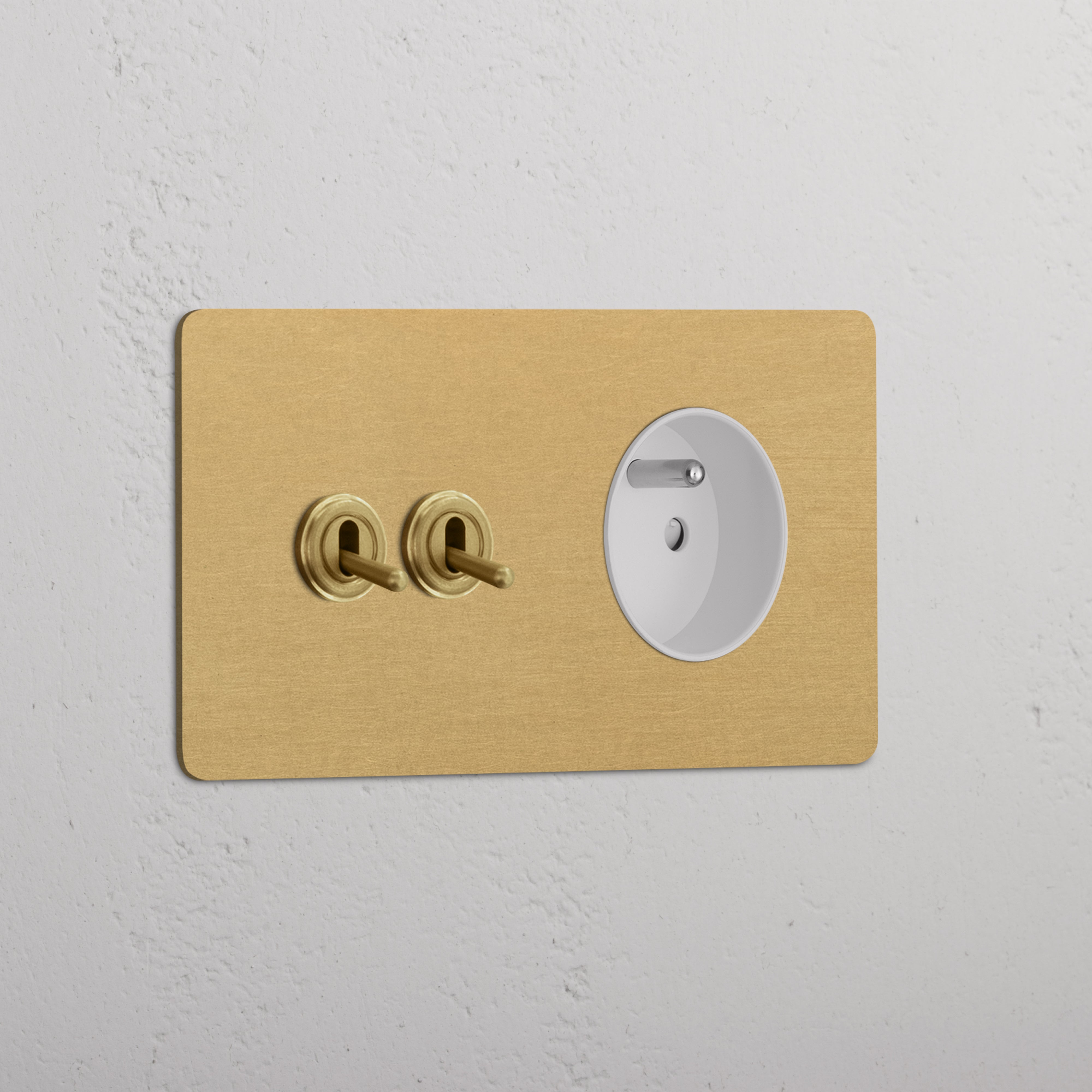 Double 2x Toggle & French Module Round - Antique Brass White  