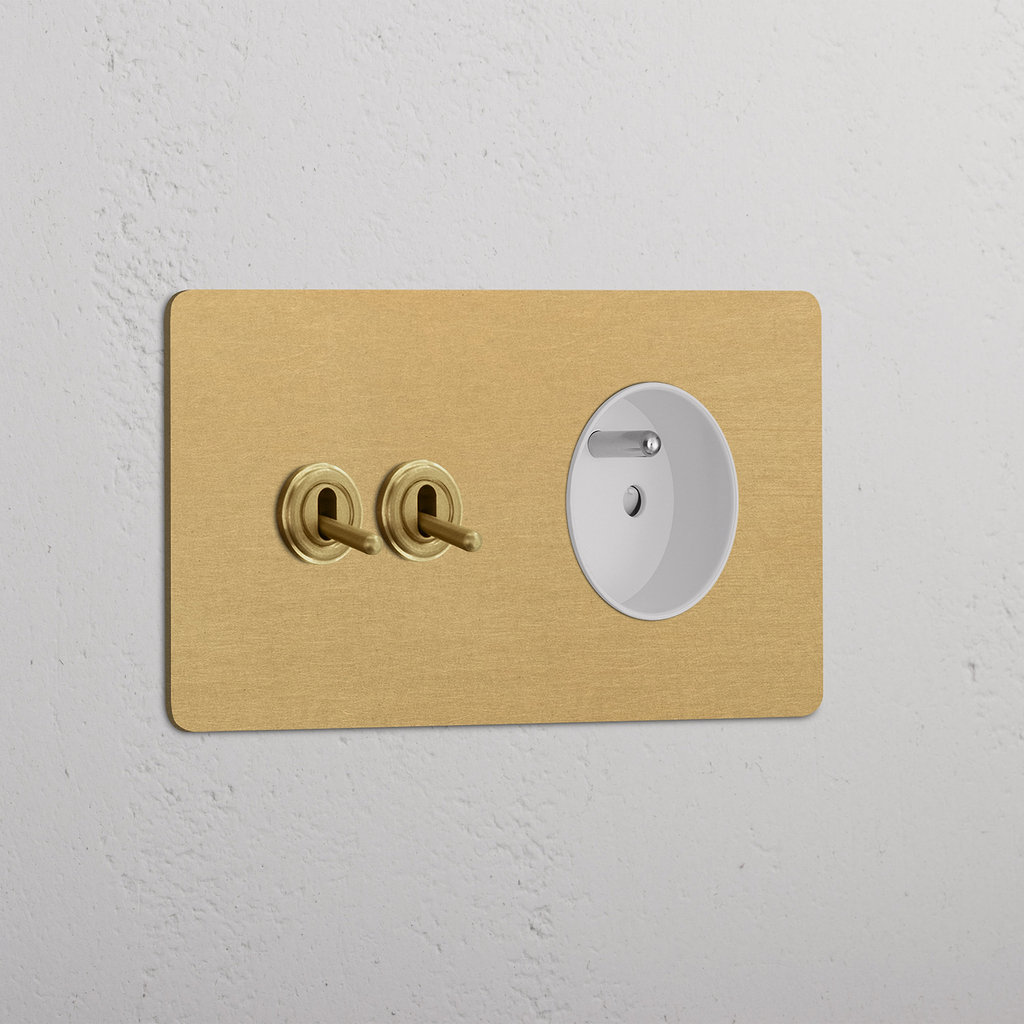 Double 2x Toggle & French Module Round - Antique Brass White  
