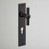Harper T-Bar Long Plate Sprung Door Handle & Euro Lock Bronze Finish on White Background at an Angle