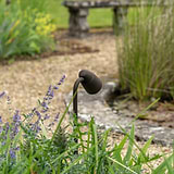 Ealing Path Spotlight - Bronze