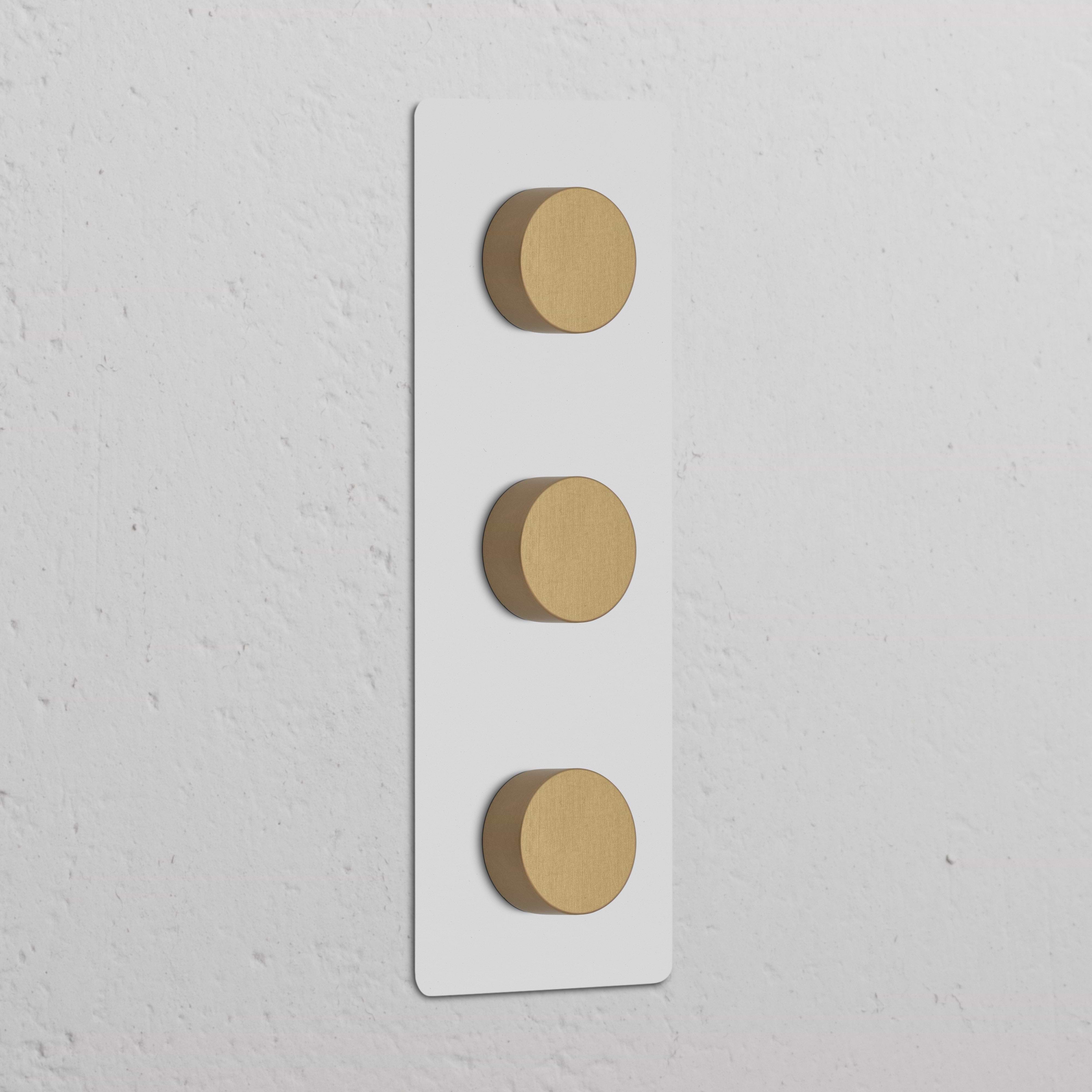 Plaque verticale triple en laiton avec trois variateurs multidirectionnels, 'Variateur Multidirectionnel x3 Vertical'.