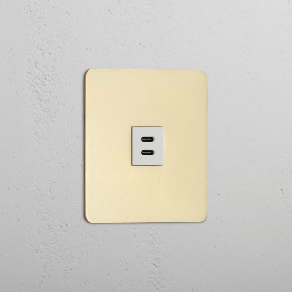 Antique Brass White Single USB 30W Module - High Speed Charging