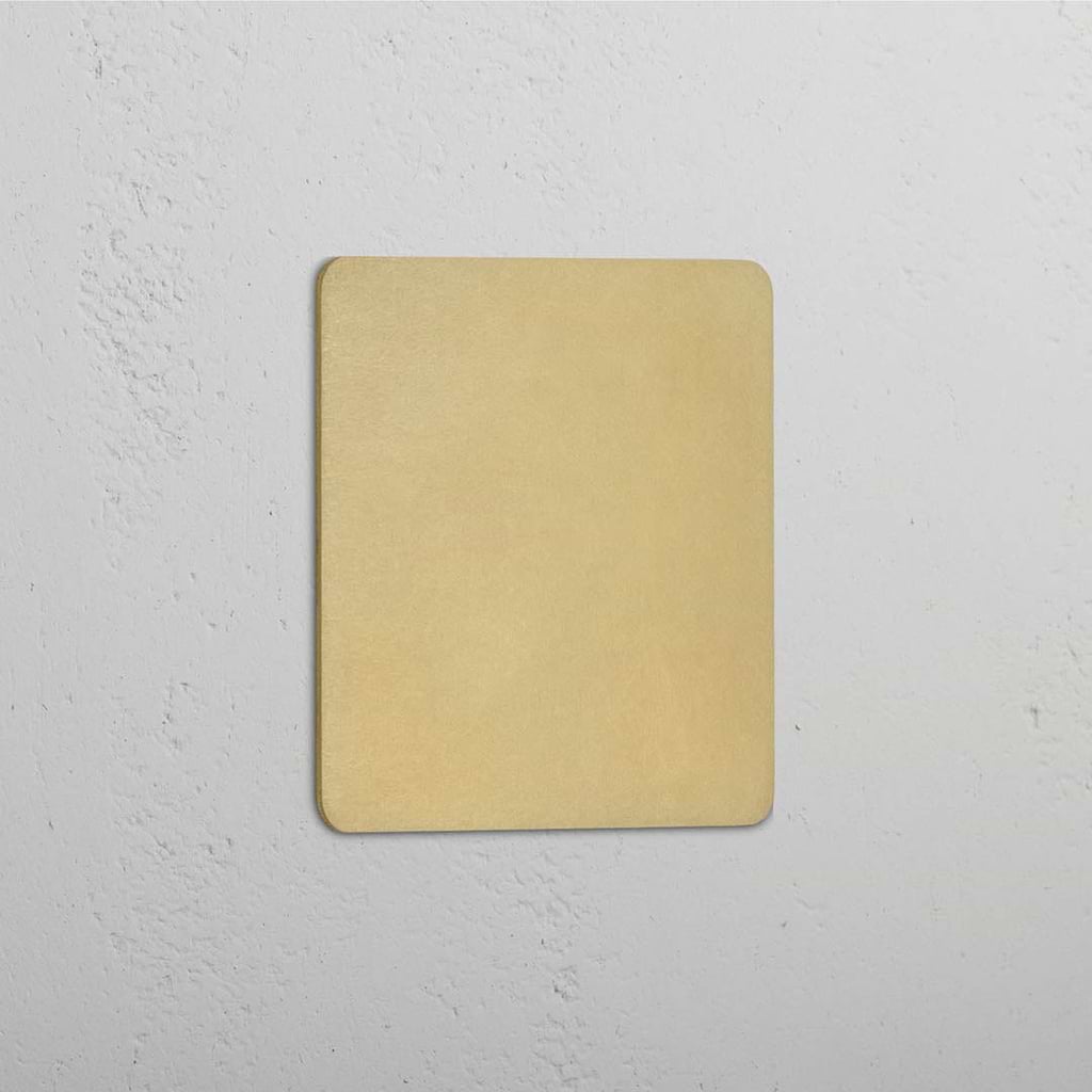 Blank Plate in Single Design with Antique Brass Finish