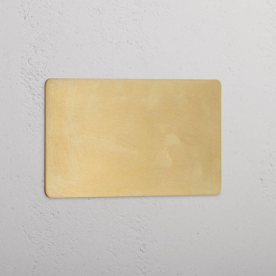 Elegant Double Blank Plate in Antique Brass Design