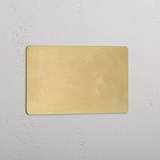 Elegant Double Blank Plate in Antique Brass Design