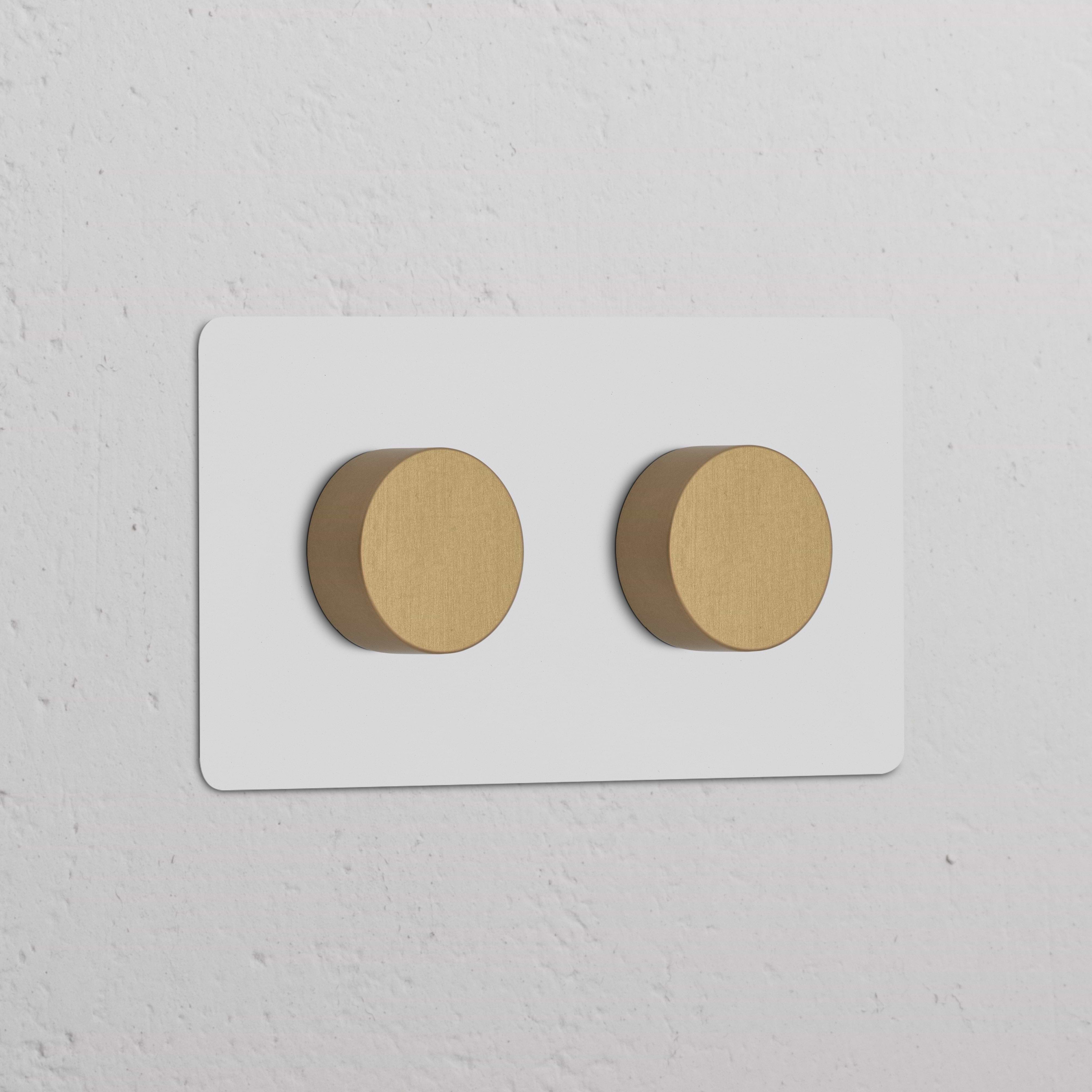 Plaque murale double avec deux variateurs multidirectionnels en laiton, finition Laiton Ancien Peignable.