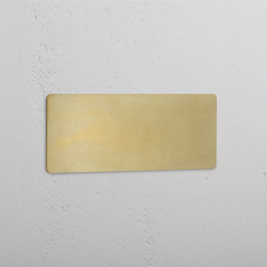 Blank Plate in Triple Design with Antique Brass Finish