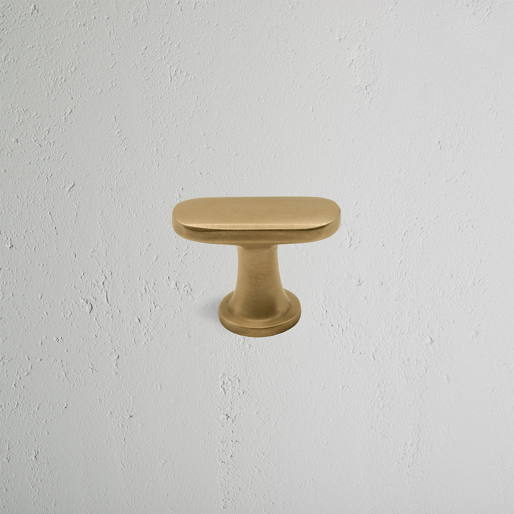Antique Brass Milliner Furniture Knob on White Background