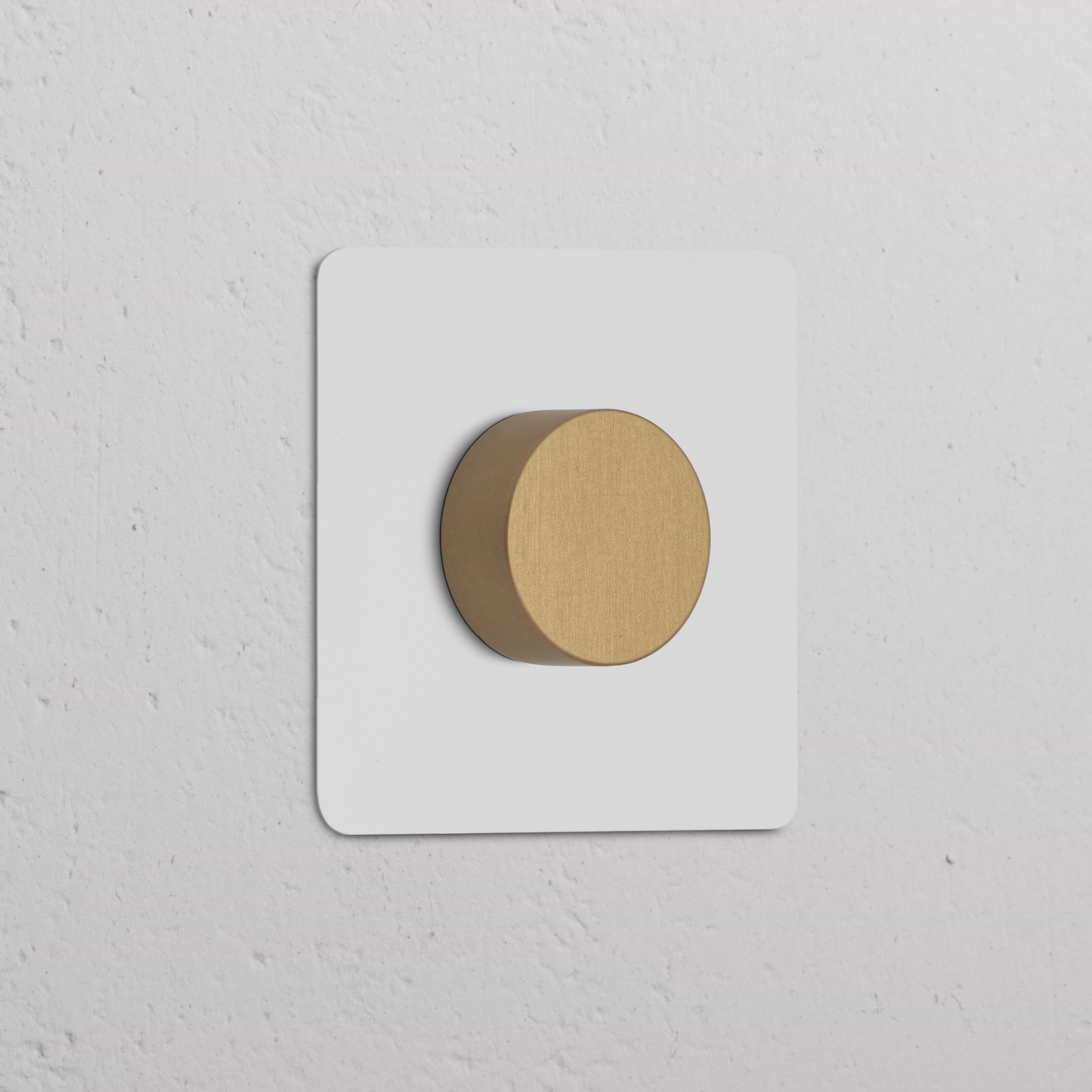 Variateur multidirectionnel sur plaque simple en laiton ancien peignable, monté sur mur blanc texturé.