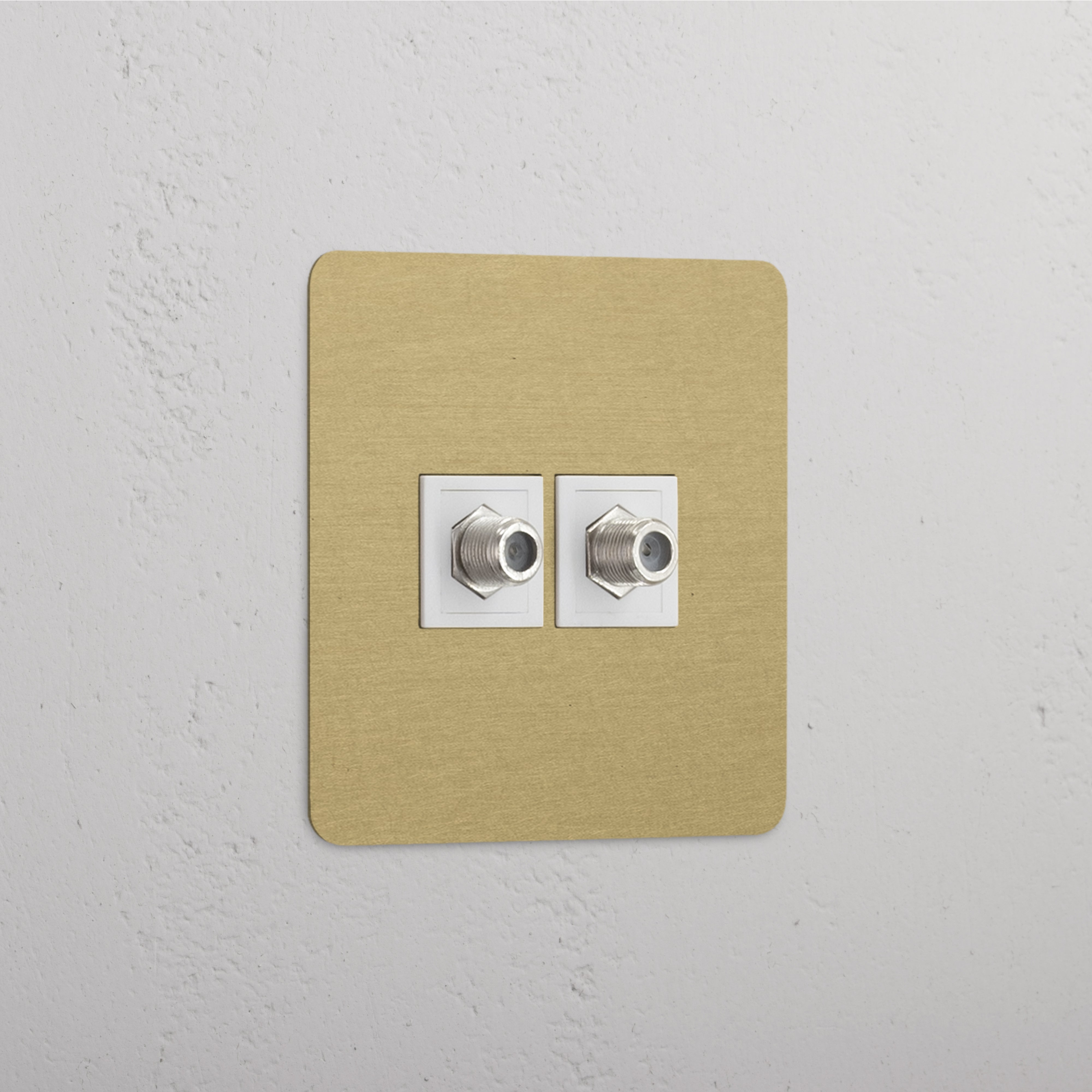 Antique Brass White Single Satellite Module with Dual Ports - High Compatibility