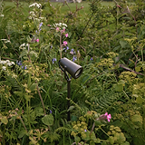 Cambridge Spot sur Piquet - Spot extérieur en bronze installé parmi un feuillage vert et des fleurs de jardin colorées.
