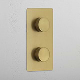 Antique Brass Double Dimmer Switch in Vertical Design