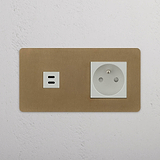 French Power and 30W USB Dual Module in Antique Brass White on White Background