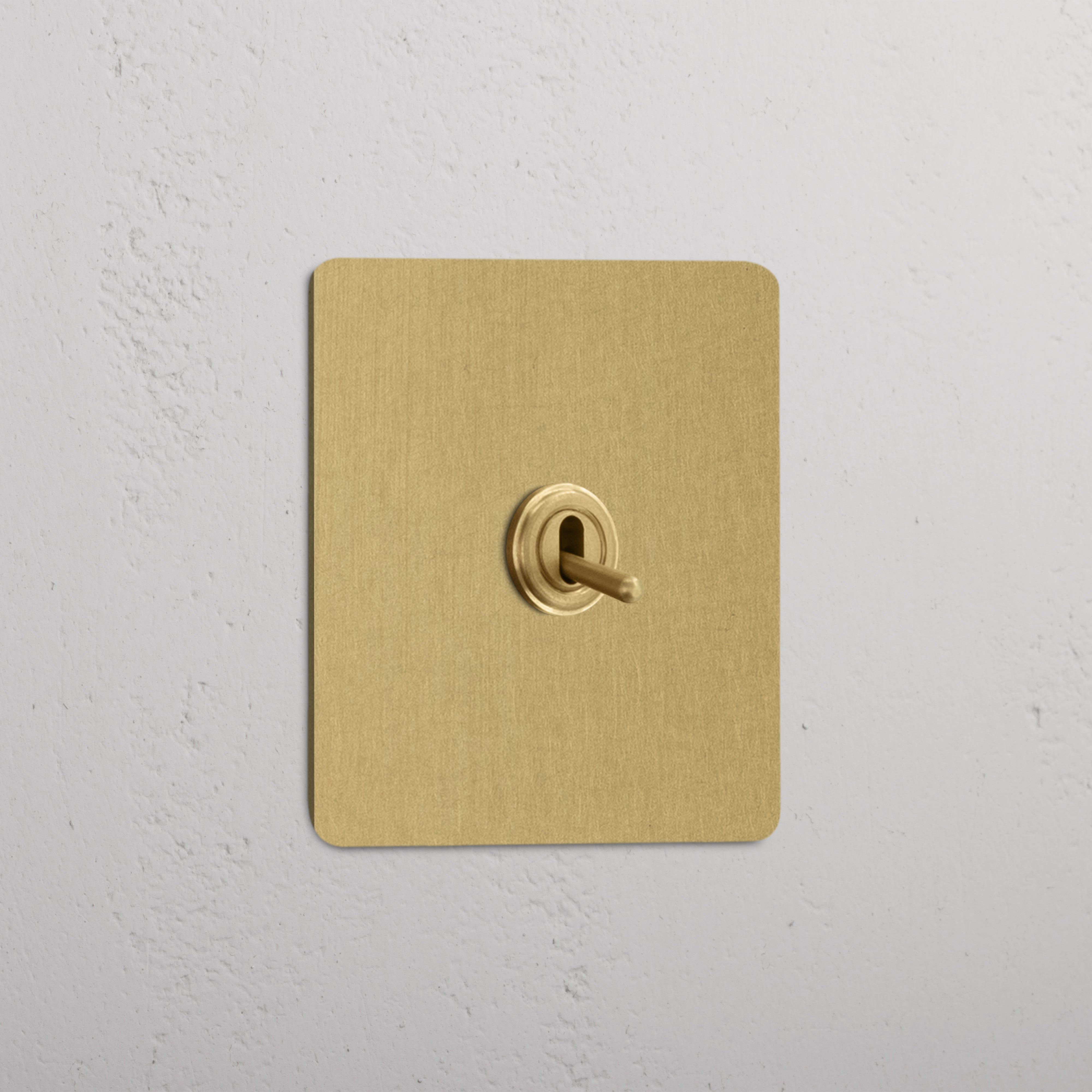 Intermediate Single Toggle Switch in Antique Brass - Stylish Design