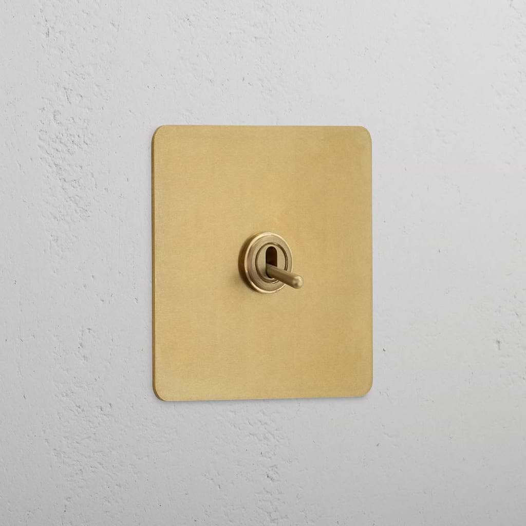 Intermediate Single Toggle Switch in Antique Brass - Stylish Design
