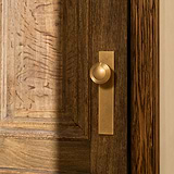 Bouton de porte Poplar à plaque longue et à ressort, en Laiton Ancien, monté sur une porte en bois foncé. 