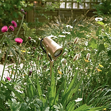 Cambridge Projetor de solo em Latão Antigo instalado em jardim com flores e cercado por vegetação.