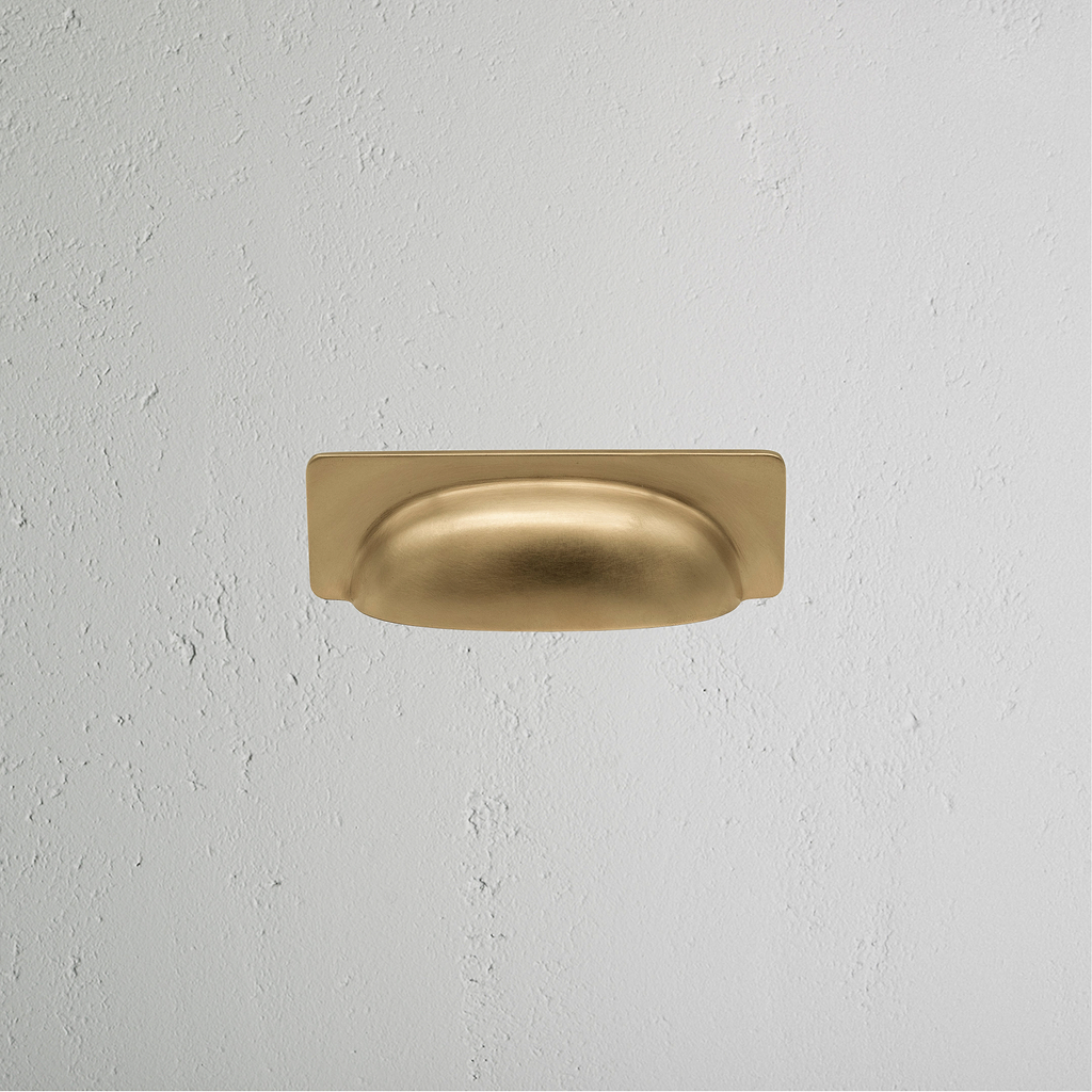 Puxador em concha Elm Latão Antigo em fundo branco