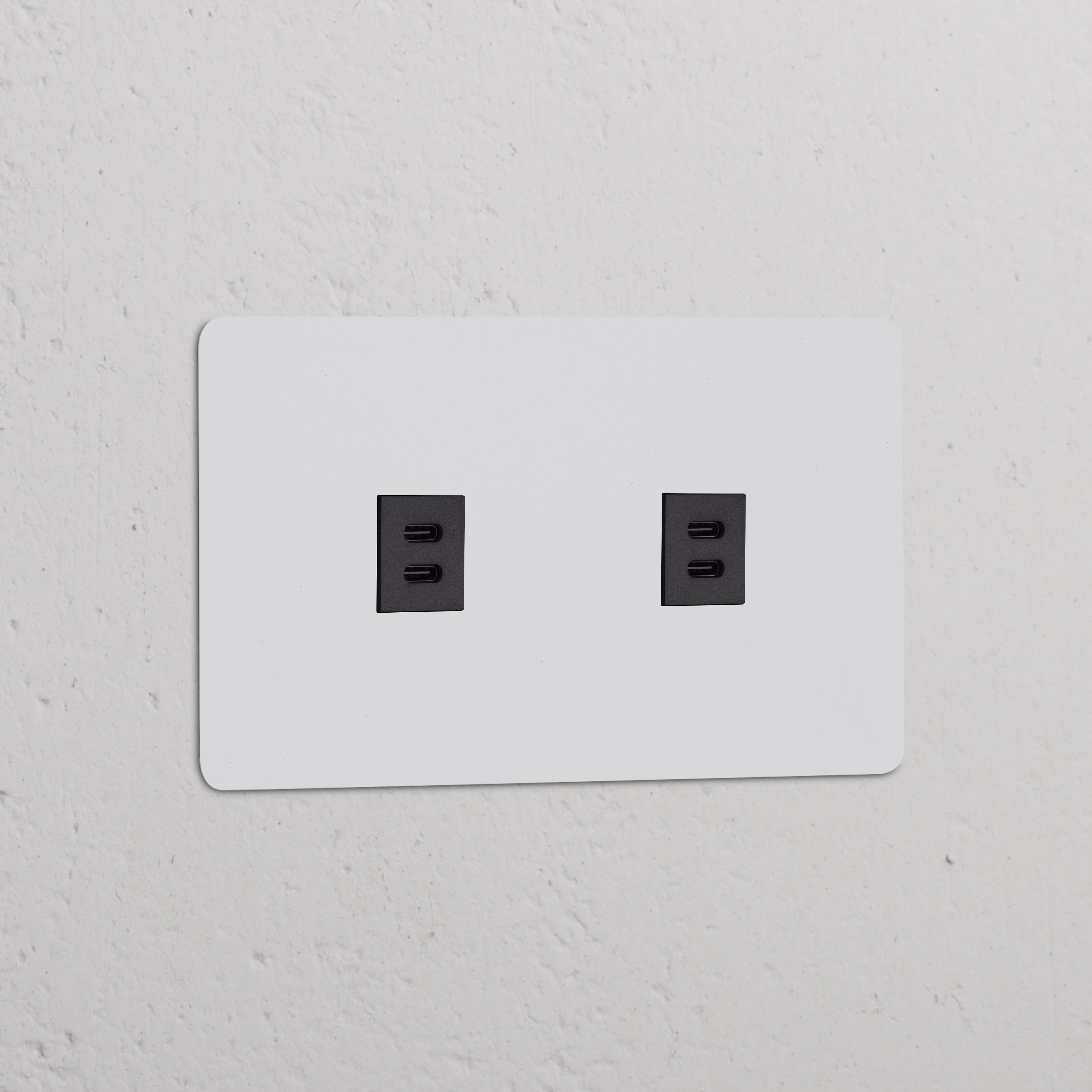 Módulo USB 30 W de duas vias duplas – Pintável Preto, encaixado em uma placa de parede preta.