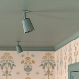 Paintable Pembroke Spotlight 50mm ceiling mounted painted same colour as the pastel green ceiling. 