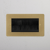 Double Module Brush Plate - Antique Brass Black