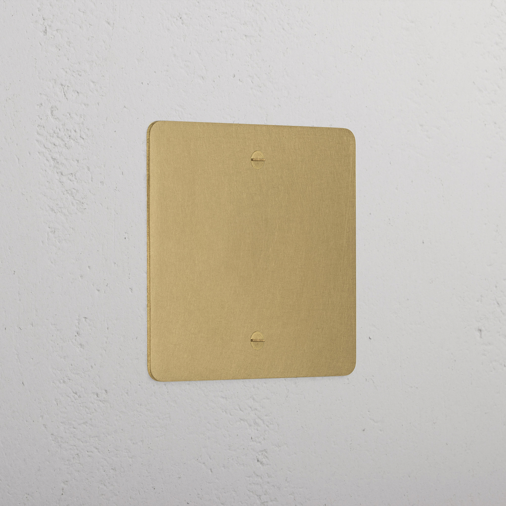 Elegant Antique Brass 1 Gang Blank Plate
